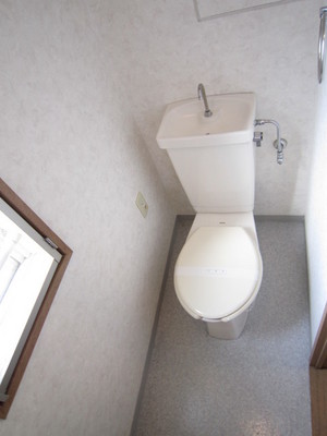 Toilet. Spacious toilet