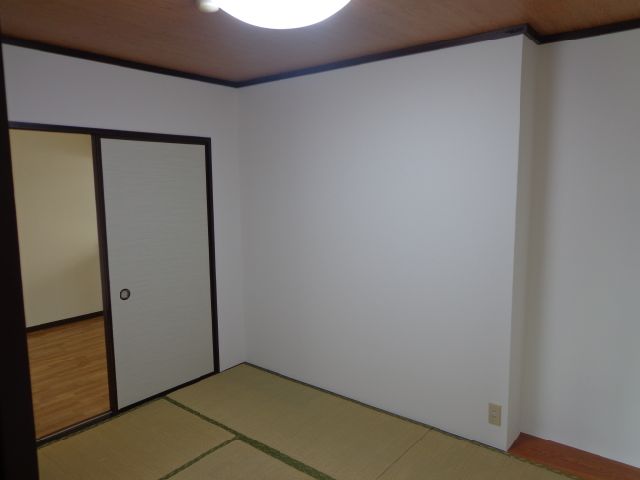 Living and room. tatami