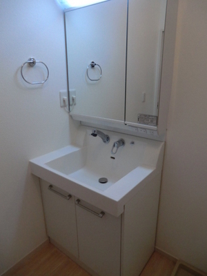 Washroom. Shampoo dresser with separate wash basin