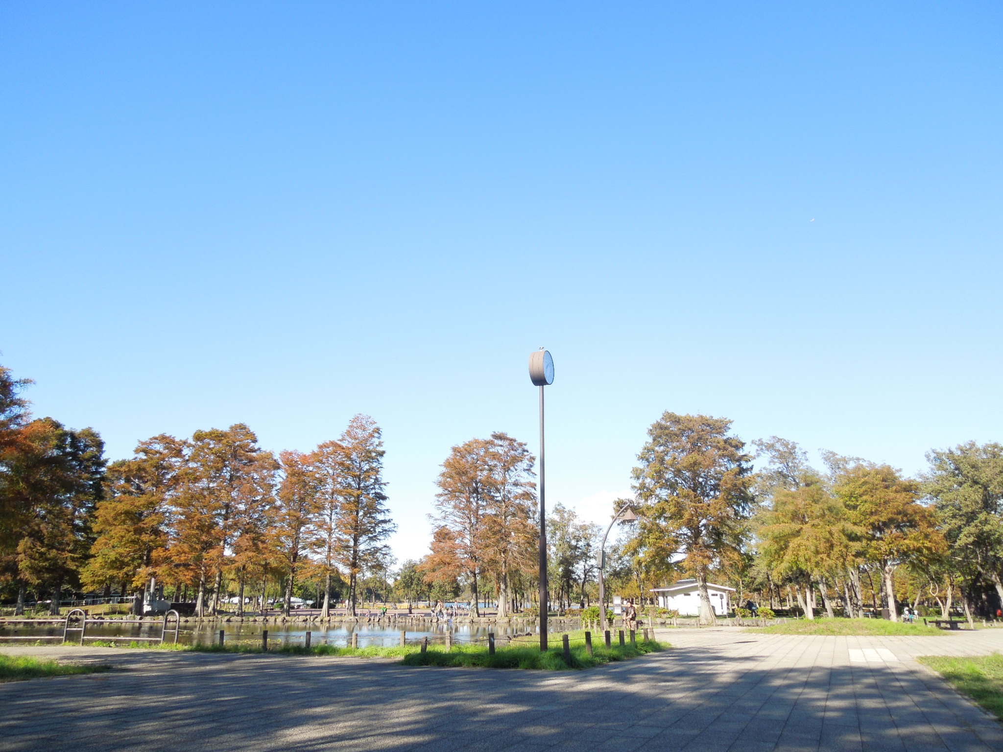 park. 300m to Mizumoto Park (park)