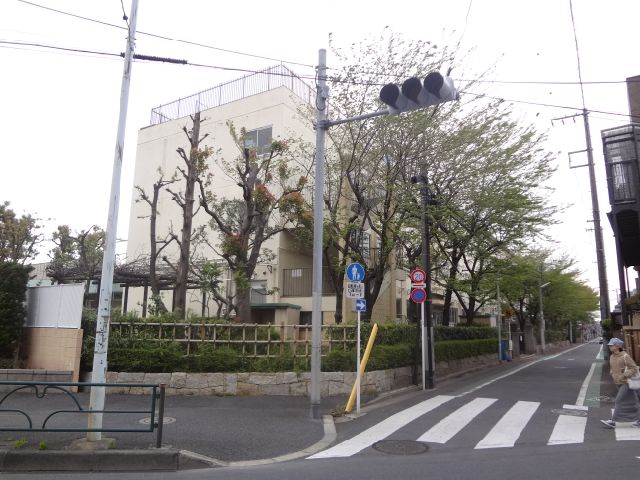 Primary school. Municipal Shibamata 300m up to elementary school (elementary school)