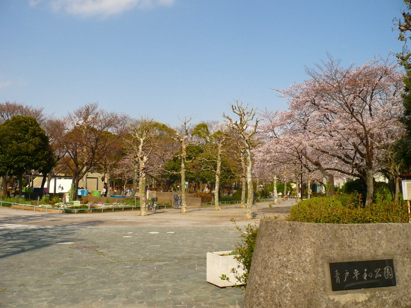 park. Aoto Peace Park until the (park) 200m