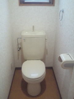 Toilet. Toilet