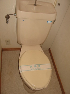 Toilet. Toilet