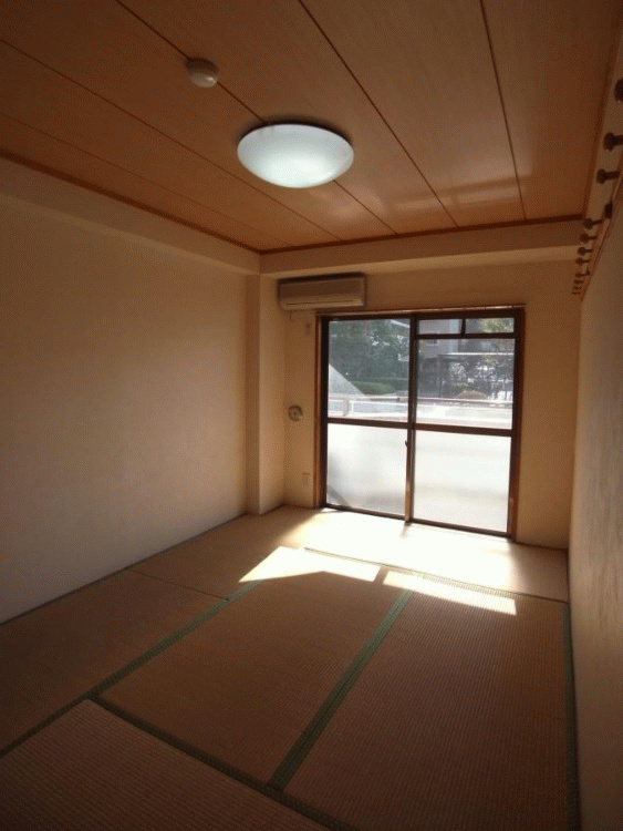 Other room space. In the Japanese-style room