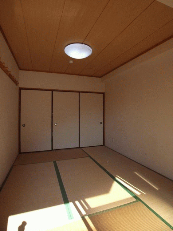 Other room space. In the Japanese-style room