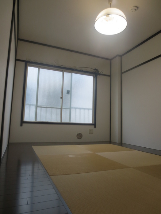 Other. Japanese style room