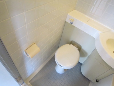 Toilet. Western-style toilet