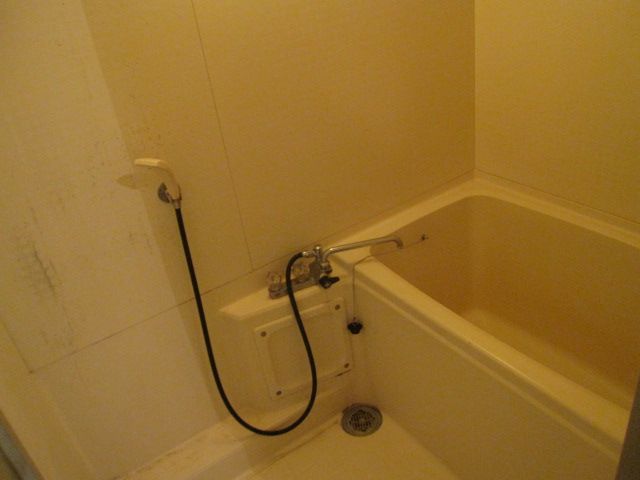 Bath. Bathtub of intimate size, Washing place is also space enough.