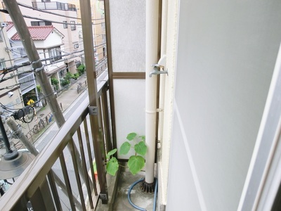 Balcony. There are washing machine storage on the balcony. 