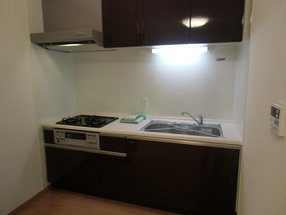 Kitchen. Indoor (11 May 2013) Shooting