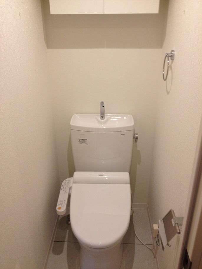 Toilet. Shower toilet