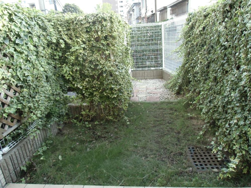 Garden. Private garden (2013 November) shooting