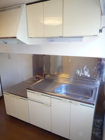 Kitchen. Kitchen installation Allowed type