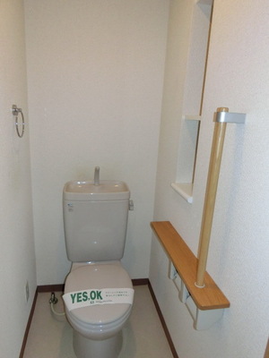 Toilet. Storage rack with toilet