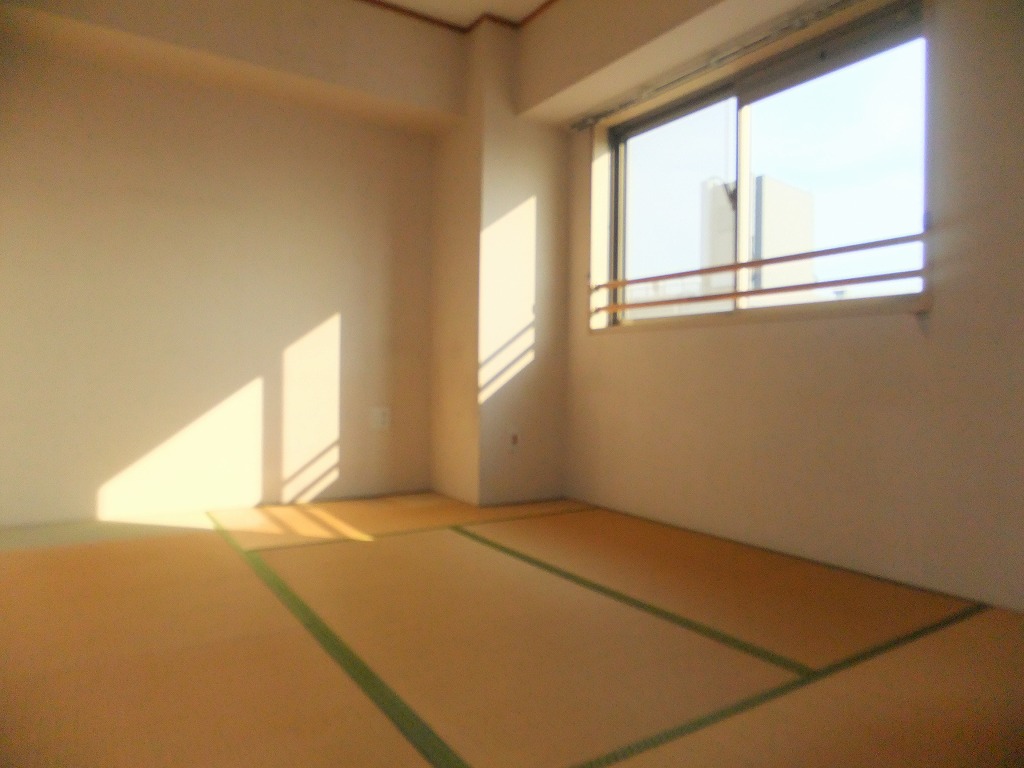 Other room space. Japanese style room