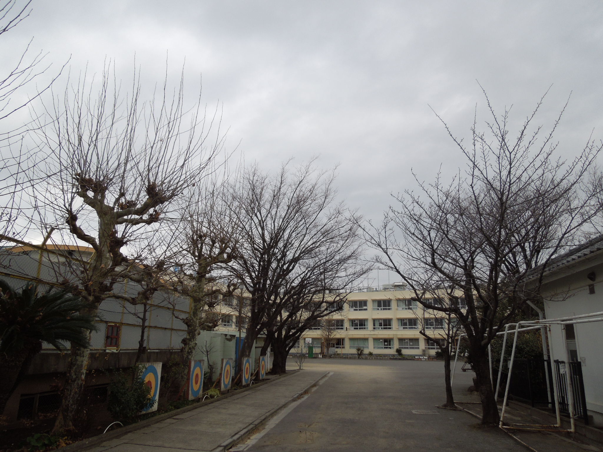 Primary school. 706m to Katsushika Ward fountain elementary school (elementary school)