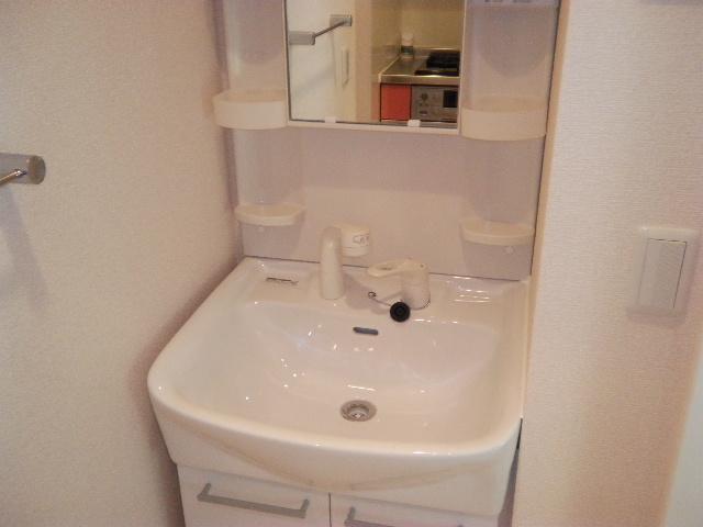 Washroom. Shampoo dresser