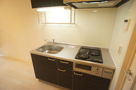 Kitchen. Grill with system kitchen (two-burner stove)