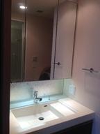 Wash basin, toilet. Wash / 2013 November shooting