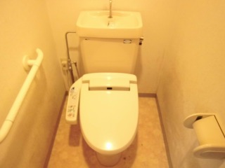 Toilet. Washlet with