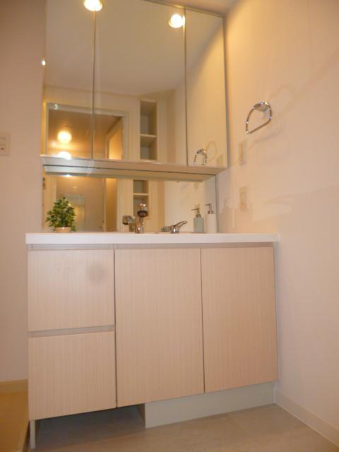 Wash basin, toilet. Vanity shower faucet