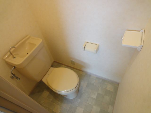 Toilet. Western-style toilet