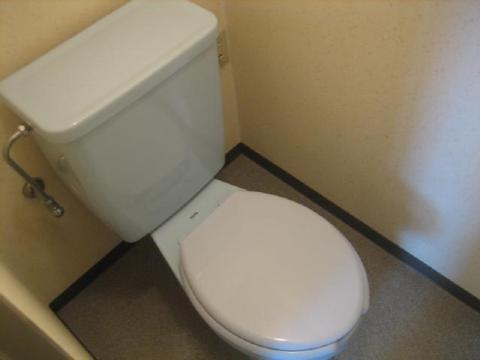 Toilet. Toilet (same type)