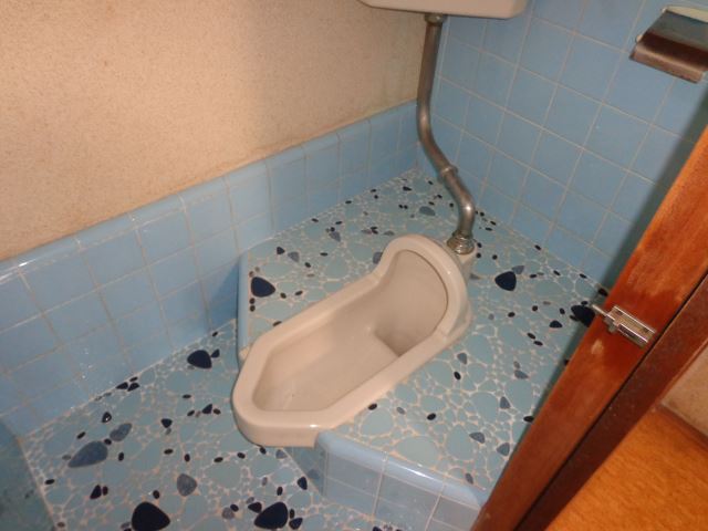 Toilet. Toilet