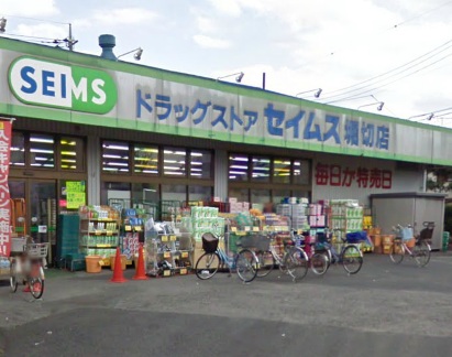 Dorakkusutoa. Drag Seimusu Horikiri shop 520m until (drugstore)