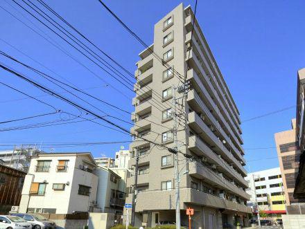 Local appearance photo. The appearance of the south-facing tiled