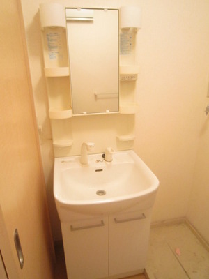 Washroom. Shampoo dresser