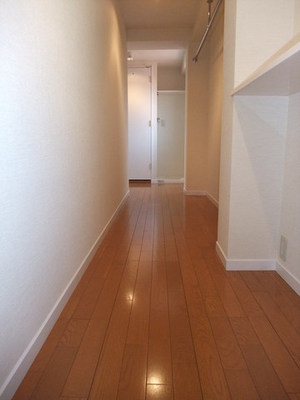 Other room space. Entrance hallway