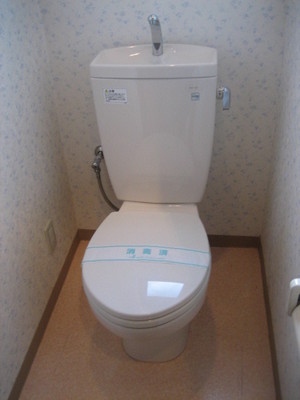 Toilet. Toilet