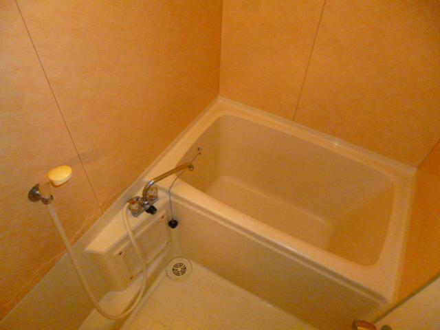 Bath. Bathroom