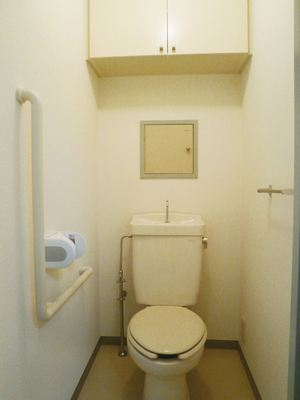 Toilet. Spacious toilet with a handrail. Storage also is perfect.