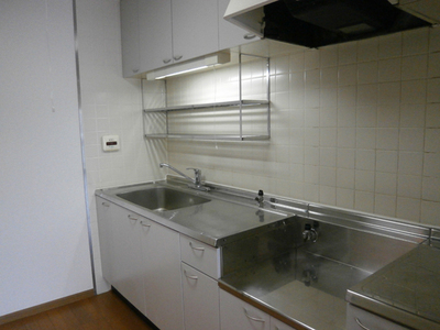 Kitchen. Spacious kitchen space. Large stainless steel sink of every day