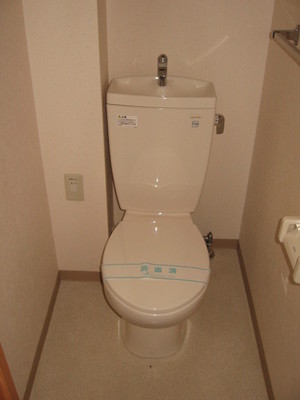 Toilet. Toilet