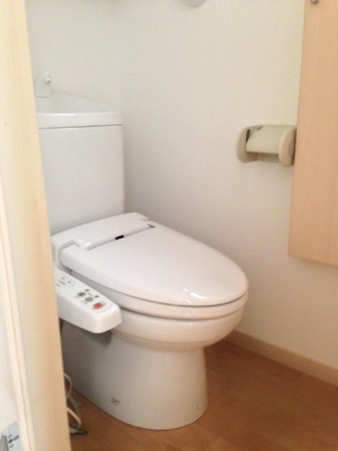 Toilet. Washlet toilet seat