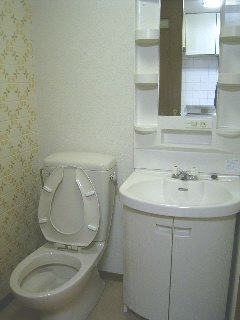 Toilet. Toilet