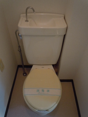 Toilet. Toilet