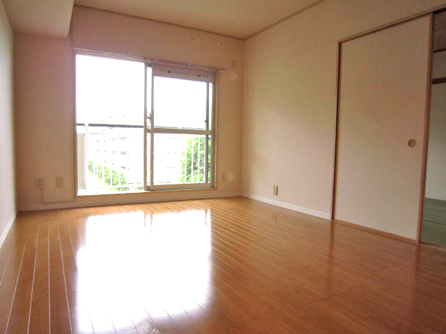 Living and room. Living room facing the balcony