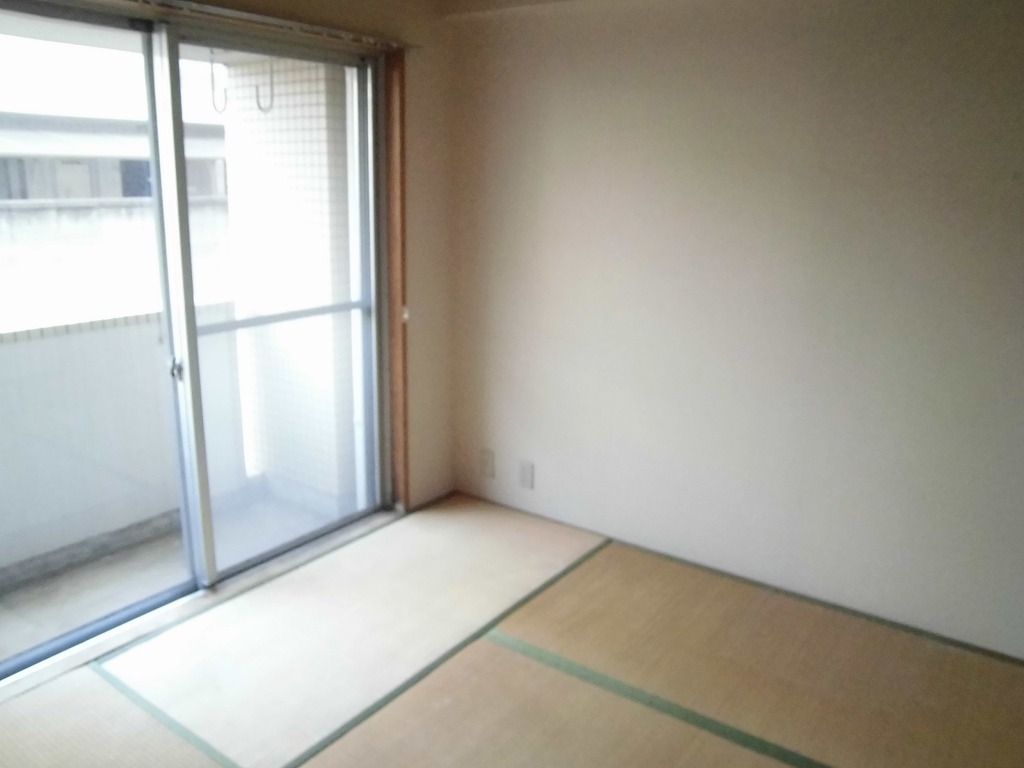 Living and room. Japanese style room