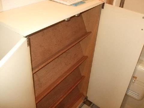 Entrance. Cupboard