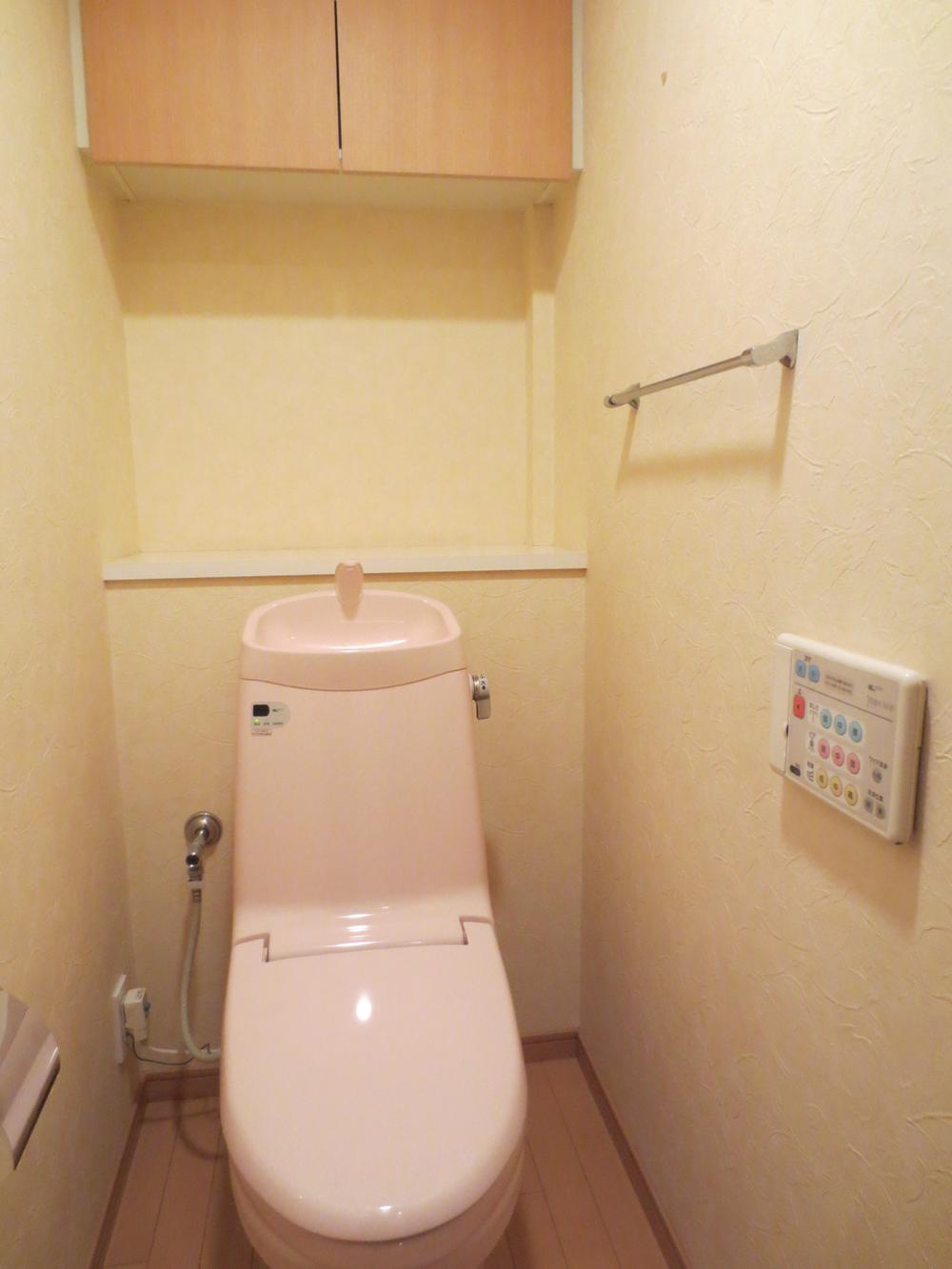 Toilet. Indoor (January 2014) Shooting