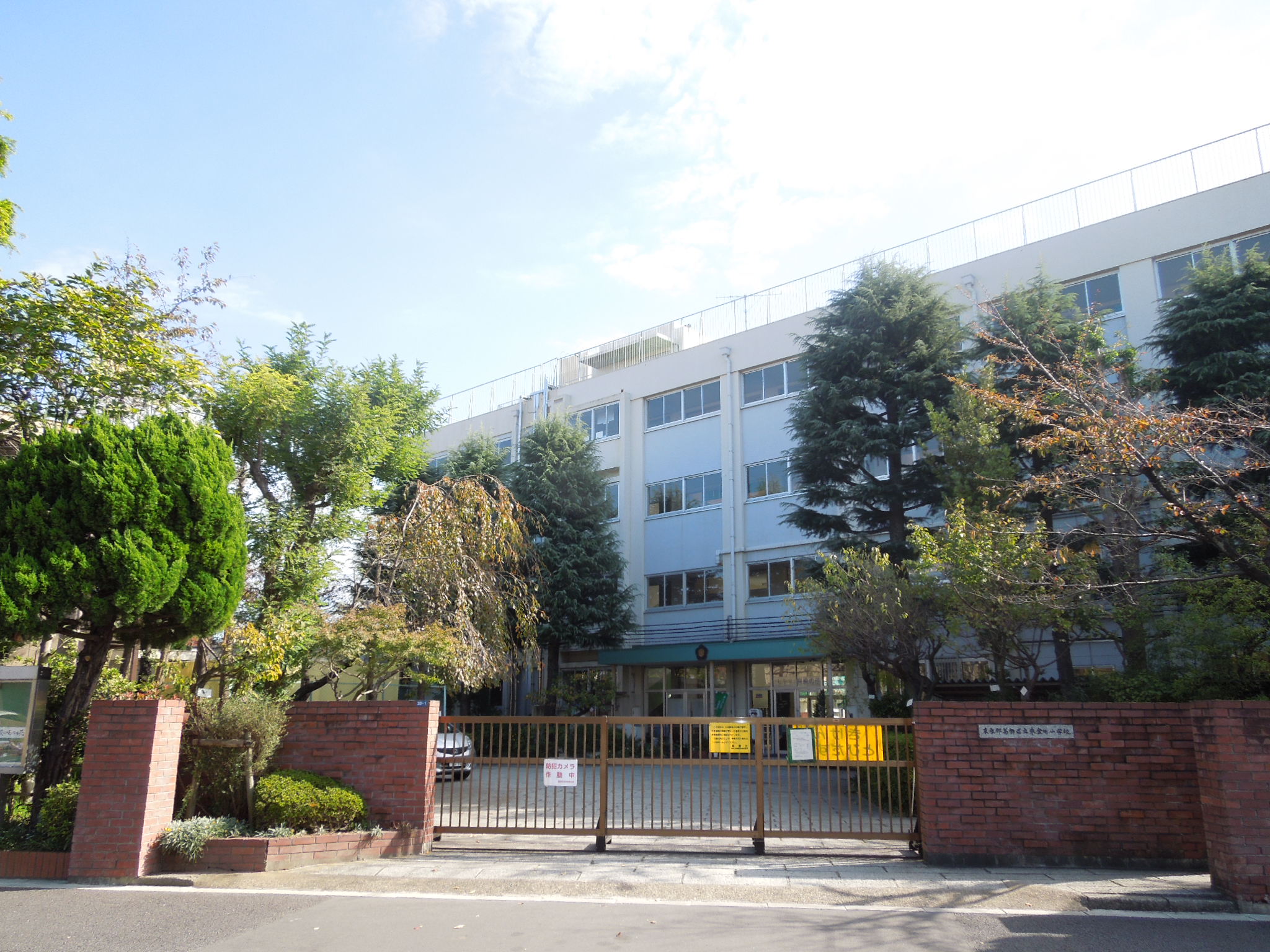 Primary school. 533m to Katsushika Ward Togane the town elementary school (elementary school)