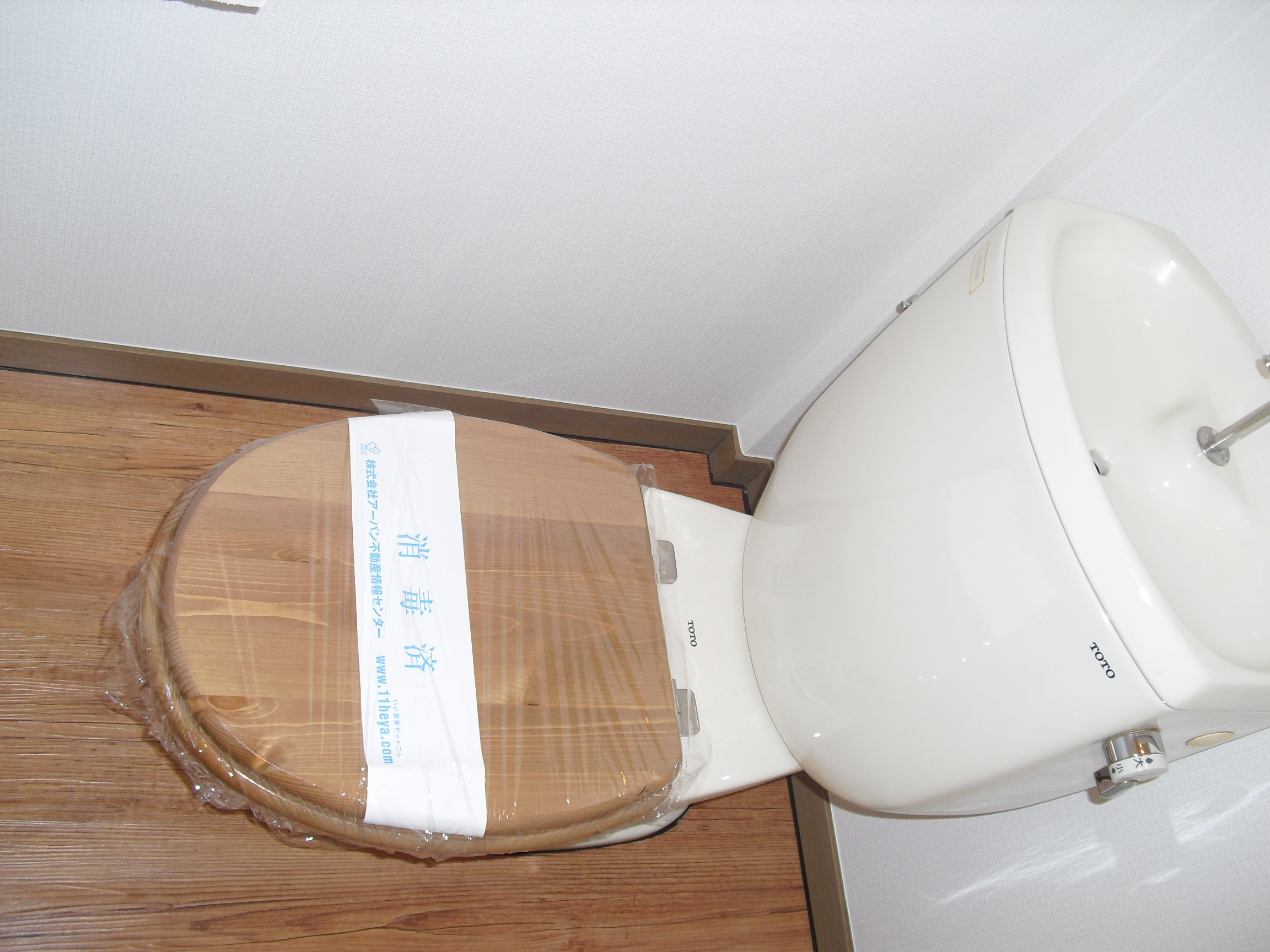 Toilet. Toilet seat is Wood. 