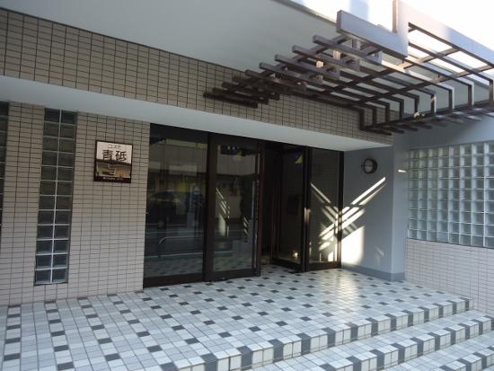 Entrance. Common areas