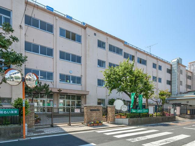 Junior high school. 769m to Katsushika Ward Tokiwa Junior High School
