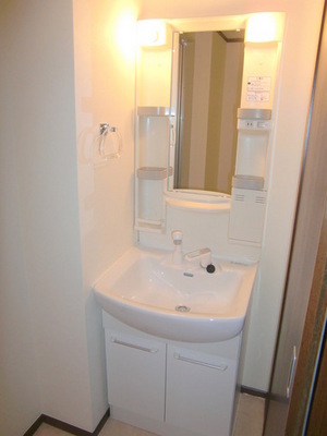 Washroom. Washbasin glad shampoo dresser